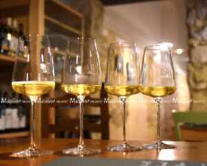 Moda&Vino_al_PBread_2022 (1)